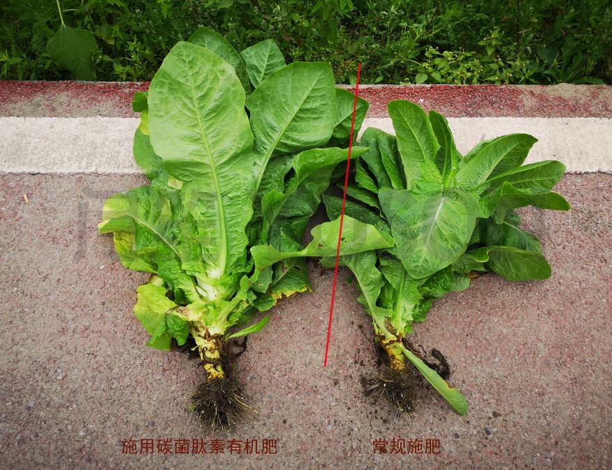 復(fù)合微生物肥適用于哪些作物,用法用量以及注意事項